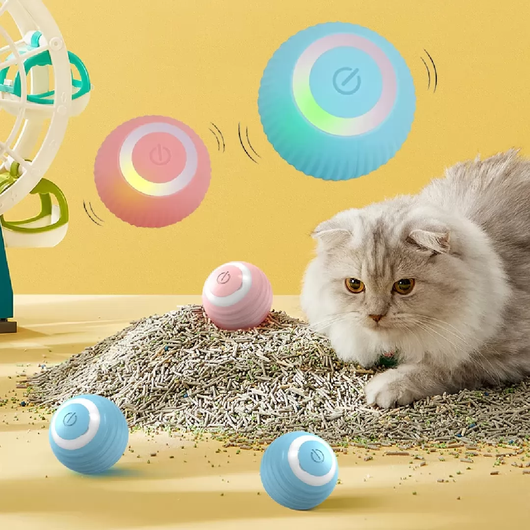 Smart Ball Cat