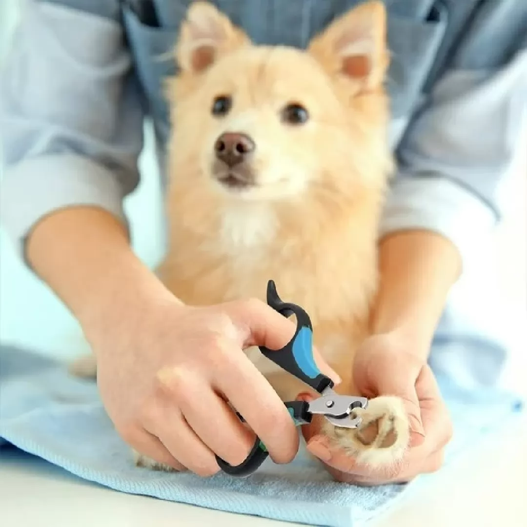 Set de Corta Uñas mascotas